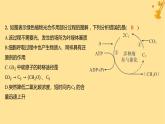 江苏专版2023_2024学年新教材高中生物第5章细胞的能量供应和利用第4节光合作用与能量转化第2课时光合作用的原理和应用分层作业课件新人教版必修1