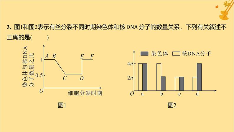 江苏专版2023_2024学年新教材高中生物第6章细胞的生命历程章末测评卷课件新人教版必修105