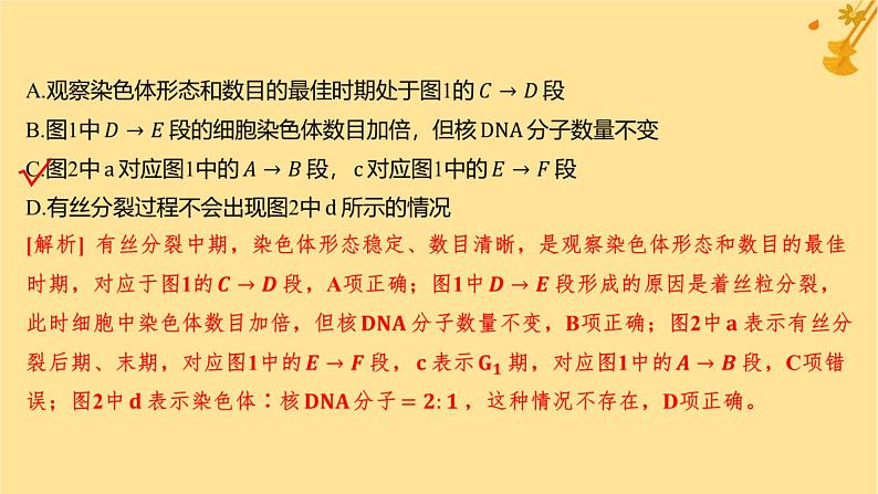 江苏专版2023_2024学年新教材高中生物第6章细胞的生命历程章末测评卷课件新人教版必修106