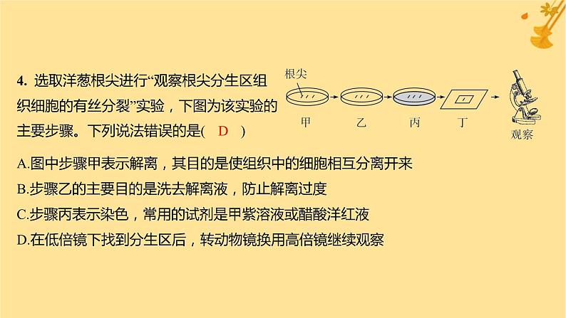 江苏专版2023_2024学年新教材高中生物第6章细胞的生命历程章末测评卷课件新人教版必修107