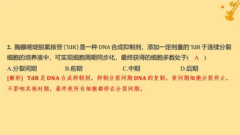 江苏专版2023_2024学年新教材高中生物第6章细胞的生命历程第1节细胞的增殖第1课时细胞周期和高等植物细胞的有丝分裂分层作业课件新人教版必修103