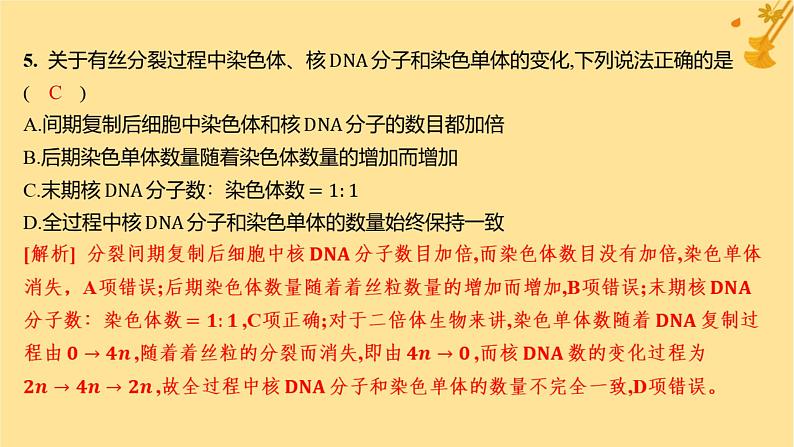 江苏专版2023_2024学年新教材高中生物第6章细胞的生命历程第1节细胞的增殖第1课时细胞周期和高等植物细胞的有丝分裂分层作业课件新人教版必修106