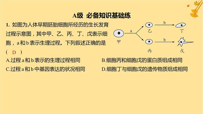 江苏专版2023_2024学年新教材高中生物第6章细胞的生命历程第2节细胞的分化分层作业课件新人教版必修1第2页