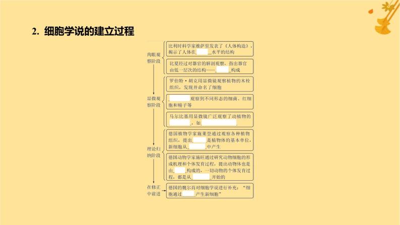 江苏专版2023_2024学年新教材高中生物第1章走近细胞第1节细胞是生命活动的基本单位课件新人教版必修106