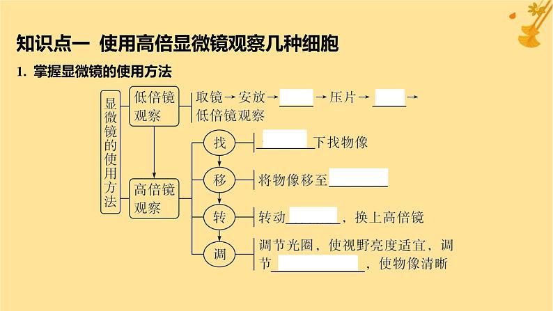 江苏专版2023_2024学年新教材高中生物第1章走近细胞第2节细胞的多样性和统一性课件新人教版必修1第5页