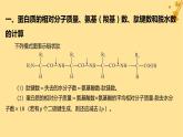 江苏专版2023_2024学年新教材高中生物第2章组成细胞的分子微专题一与蛋白质的合成和水解过程相关的计算课件新人教版必修1