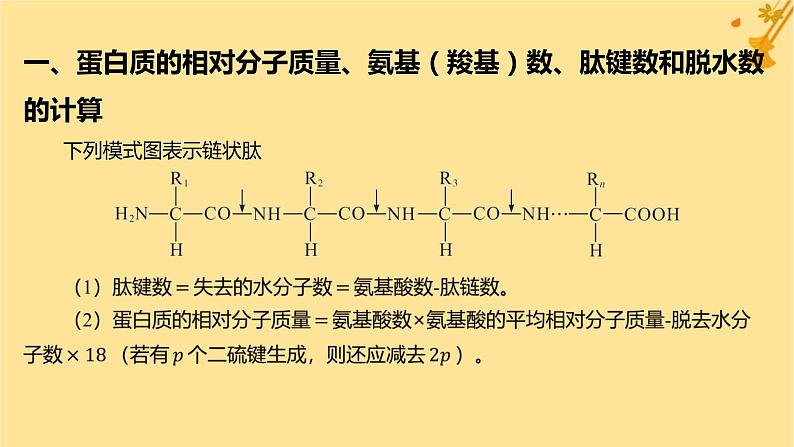 江苏专版2023_2024学年新教材高中生物第2章组成细胞的分子微专题一与蛋白质的合成和水解过程相关的计算课件新人教版必修102