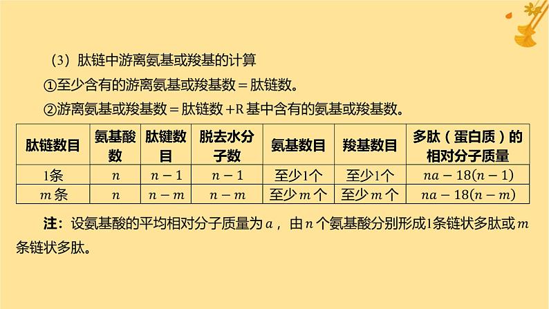 江苏专版2023_2024学年新教材高中生物第2章组成细胞的分子微专题一与蛋白质的合成和水解过程相关的计算课件新人教版必修103