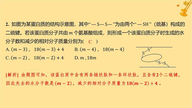 江苏专版2023_2024学年新教材高中生物第2章组成细胞的分子微专题一与蛋白质的合成和水解过程相关的计算课件新人教版必修106