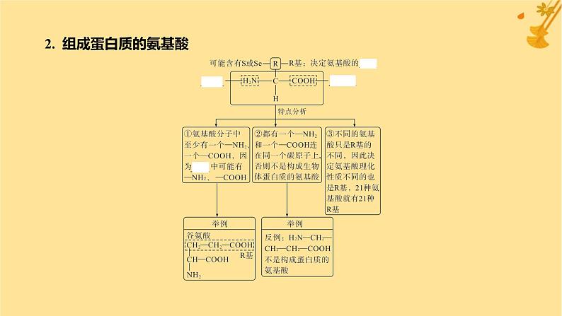 江苏专版2023_2024学年新教材高中生物第2章组成细胞的分子第4节蛋白质是生命活动的主要承担者课件新人教版必修1第6页