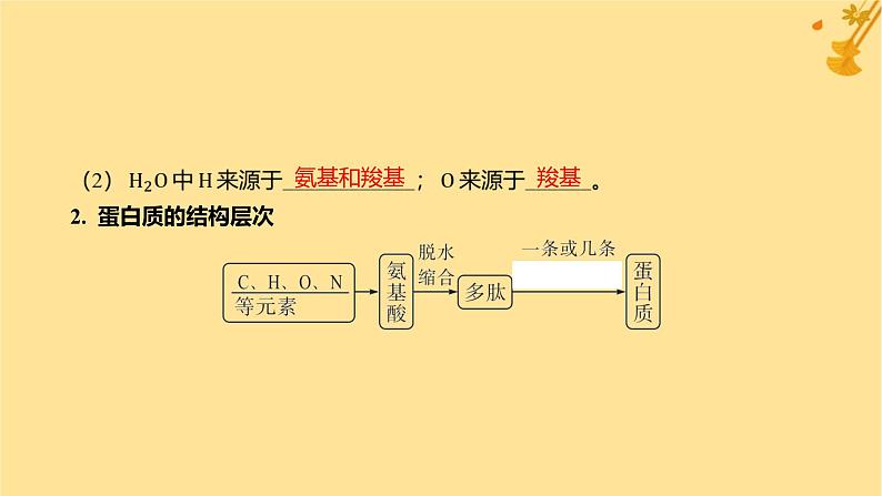 江苏专版2023_2024学年新教材高中生物第2章组成细胞的分子第4节蛋白质是生命活动的主要承担者课件新人教版必修1第8页