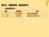 江苏专版2023_2024学年新教材高中生物第2章组成细胞的分子第5节核酸是遗传信息的携带者课件新人教版必修1