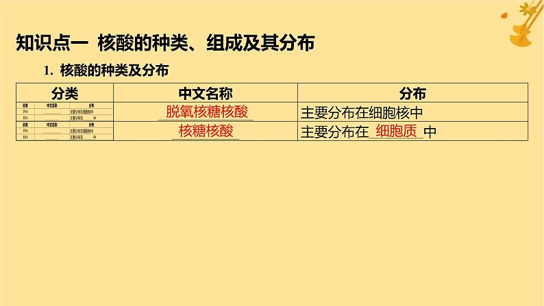 江苏专版2023_2024学年新教材高中生物第2章组成细胞的分子第5节核酸是遗传信息的携带者课件新人教版必修1第5页