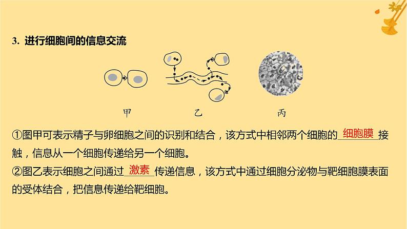 江苏专版2023_2024学年新教材高中生物第3章细胞的基本结构第1节细胞膜的结构和功能课件新人教版必修1第6页