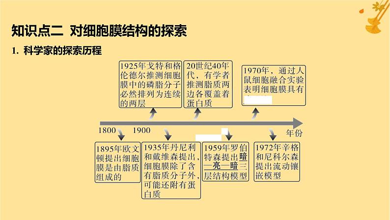 江苏专版2023_2024学年新教材高中生物第3章细胞的基本结构第1节细胞膜的结构和功能课件新人教版必修1第8页