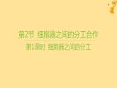 江苏专版2023_2024学年新教材高中生物第3章细胞的基本结构第2节细胞器之间的分工合作第1课时细胞器之间的分工课件新人教版必修1