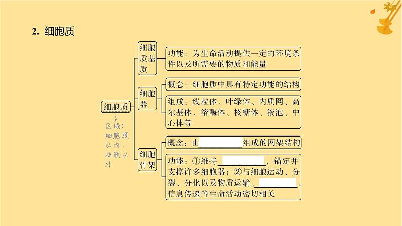 江苏专版2023_2024学年新教材高中生物第3章细胞的基本结构第2节细胞器之间的分工合作第1课时细胞器之间的分工课件新人教版必修106