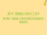 江苏专版2023_2024学年新教材高中生物第3章细胞的基本结构第2节细胞器之间的分工合作第2课时细胞器之间的协调配合和细胞的生物膜系统课件新人教版必修1
