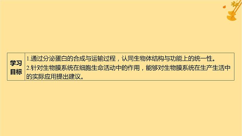 江苏专版2023_2024学年新教材高中生物第3章细胞的基本结构第2节细胞器之间的分工合作第2课时细胞器之间的协调配合和细胞的生物膜系统课件新人教版必修1第3页
