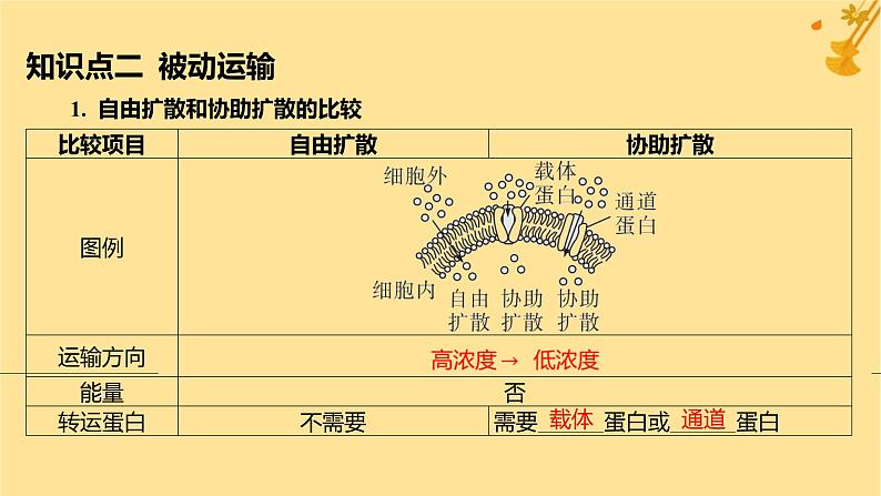 江苏专版2023_2024学年新教材高中生物第4章细胞的物质输入和输出第1节被动运输课件新人教版必修1第8页