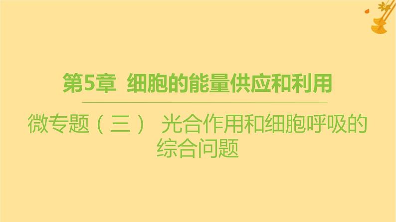 江苏专版2023_2024学年新教材高中生物第5章细胞的能量供应和利用微专题三光合作用和细胞呼吸的综合问题课件新人教版必修1第1页