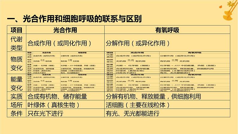 江苏专版2023_2024学年新教材高中生物第5章细胞的能量供应和利用微专题三光合作用和细胞呼吸的综合问题课件新人教版必修1第2页