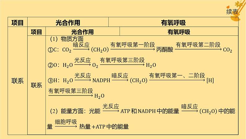 江苏专版2023_2024学年新教材高中生物第5章细胞的能量供应和利用微专题三光合作用和细胞呼吸的综合问题课件新人教版必修1第3页