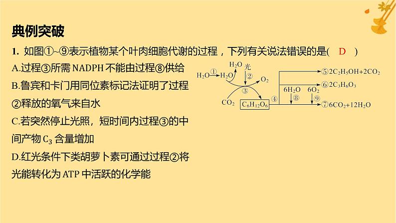 江苏专版2023_2024学年新教材高中生物第5章细胞的能量供应和利用微专题三光合作用和细胞呼吸的综合问题课件新人教版必修1第4页