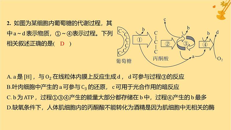 江苏专版2023_2024学年新教材高中生物第5章细胞的能量供应和利用微专题三光合作用和细胞呼吸的综合问题课件新人教版必修1第6页