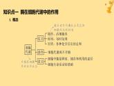 江苏专版2023_2024学年新教材高中生物第5章细胞的能量供应和利用第1节降低化学反应活化能的酶第1课时酶的作用和本质课件新人教版必修1