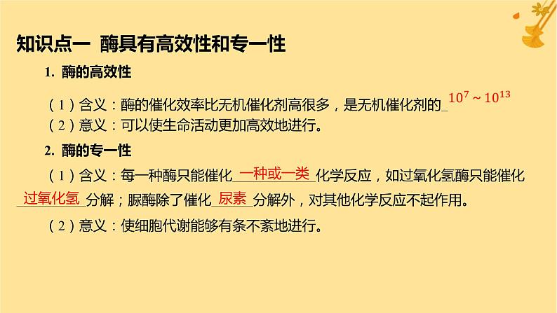 江苏专版2023_2024学年新教材高中生物第5章细胞的能量供应和利用第1节降低化学反应活化能的酶第2课时酶的特性课件新人教版必修1第5页