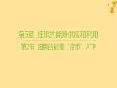 江苏专版2023_2024学年新教材高中生物第5章细胞的能量供应和利用第2节细胞的能量“货币”ATP课件新人教版必修1