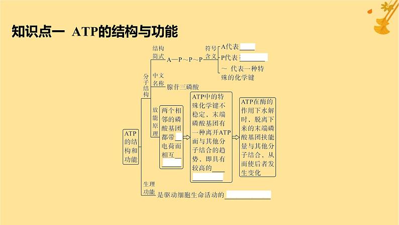 江苏专版2023_2024学年新教材高中生物第5章细胞的能量供应和利用第2节细胞的能量“货币”ATP课件新人教版必修105