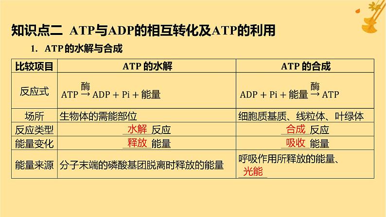 江苏专版2023_2024学年新教材高中生物第5章细胞的能量供应和利用第2节细胞的能量“货币”ATP课件新人教版必修106