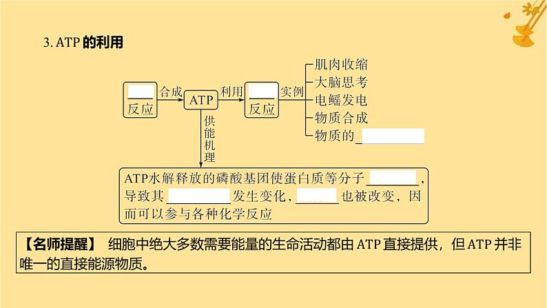 江苏专版2023_2024学年新教材高中生物第5章细胞的能量供应和利用第2节细胞的能量“货币”ATP课件新人教版必修108