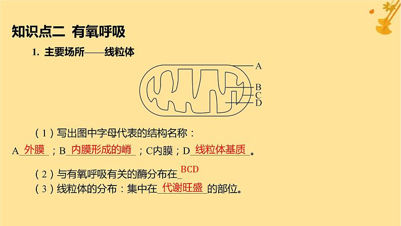 江苏专版2023_2024学年新教材高中生物第5章细胞的能量供应和利用第3节细胞呼吸的原理和应用第1课时细胞呼吸的方式和有氧呼吸课件新人教版必修1第8页