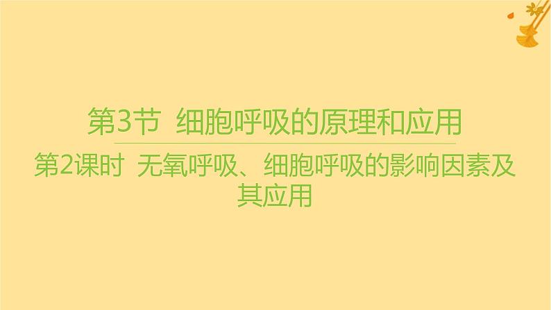 江苏专版2023_2024学年新教材高中生物第5章细胞的能量供应和利用第3节细胞呼吸的原理和应用第2课时无氧呼吸细胞呼吸的影响因素及其应用课件新人教版必修1第1页