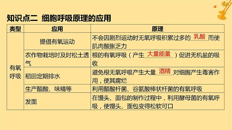 江苏专版2023_2024学年新教材高中生物第5章细胞的能量供应和利用第3节细胞呼吸的原理和应用第2课时无氧呼吸细胞呼吸的影响因素及其应用课件新人教版必修1第6页