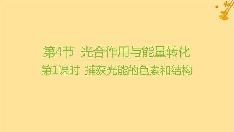 江苏专版2023_2024学年新教材高中生物第5章细胞的能量供应和利用第4节光合作用与能量转化第1课时捕获光能的色素和结构课件新人教版必修101