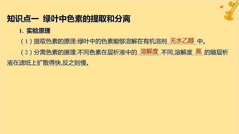 江苏专版2023_2024学年新教材高中生物第5章细胞的能量供应和利用第4节光合作用与能量转化第1课时捕获光能的色素和结构课件新人教版必修105