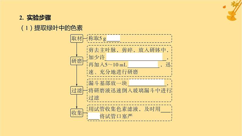 江苏专版2023_2024学年新教材高中生物第5章细胞的能量供应和利用第4节光合作用与能量转化第1课时捕获光能的色素和结构课件新人教版必修106