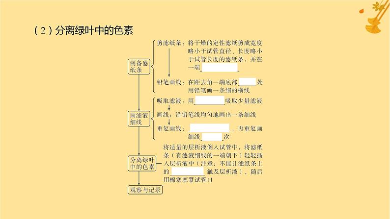 江苏专版2023_2024学年新教材高中生物第5章细胞的能量供应和利用第4节光合作用与能量转化第1课时捕获光能的色素和结构课件新人教版必修107