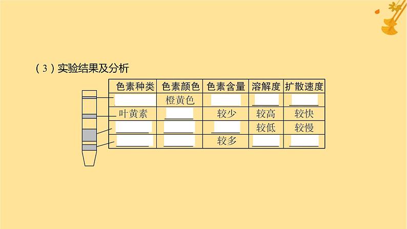 江苏专版2023_2024学年新教材高中生物第5章细胞的能量供应和利用第4节光合作用与能量转化第1课时捕获光能的色素和结构课件新人教版必修108