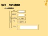 江苏专版2023_2024学年新教材高中生物第5章细胞的能量供应和利用第4节光合作用与能量转化第2课时光合作用的原理和应用课件新人教版必修1