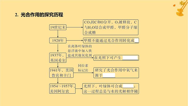 江苏专版2023_2024学年新教材高中生物第5章细胞的能量供应和利用第4节光合作用与能量转化第2课时光合作用的原理和应用课件新人教版必修1第6页