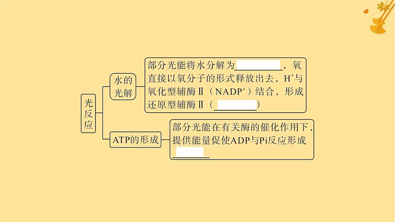 江苏专版2023_2024学年新教材高中生物第5章细胞的能量供应和利用第4节光合作用与能量转化第2课时光合作用的原理和应用课件新人教版必修1第8页