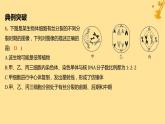 江蘇專版2023_2024學(xué)年新教材高中生物第6章細(xì)胞的生命歷程微專題四細(xì)胞周期過(guò)程中的圖像和曲線分析課件新人教版必修1