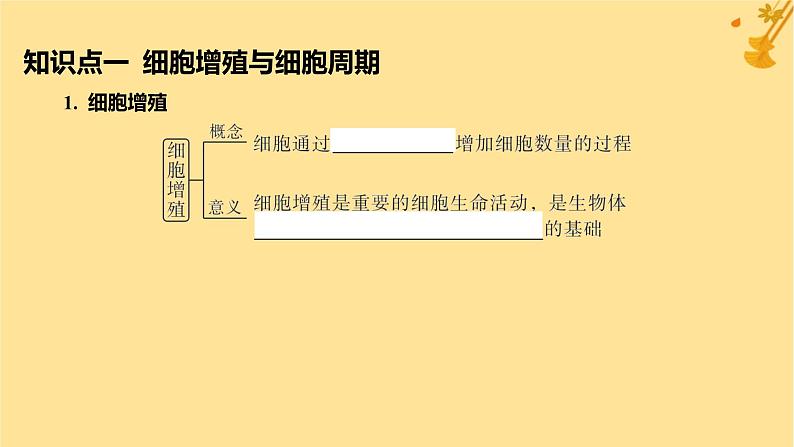 江苏专版2023_2024学年新教材高中生物第6章细胞的生命历程第1节细胞的增殖第1课时细胞周期和高等植物细胞的有丝分裂课件新人教版必修1第5页