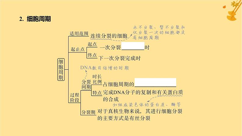 江苏专版2023_2024学年新教材高中生物第6章细胞的生命历程第1节细胞的增殖第1课时细胞周期和高等植物细胞的有丝分裂课件新人教版必修1第6页