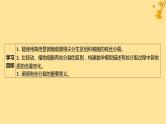 江苏专版2023_2024学年新教材高中生物第6章细胞的生命历程第1节细胞的增殖第2课时动植物细胞有丝分裂的比较及观察根尖分生区组织细胞的有丝分裂课件新人教版必修1